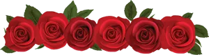 Escort_Bangkok_300